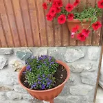 Monte Nebius 3*