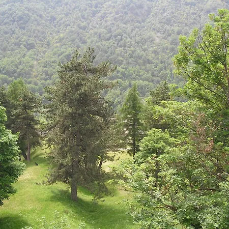 Hotel Monte Nebius *