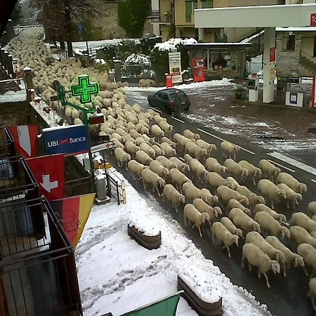 蒙特尼比尔斯小屋酒店 酒店 维纳迪奥