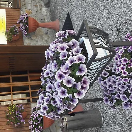 蒙特尼比尔斯小屋酒店 维纳迪奥