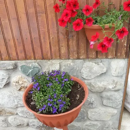 蒙特尼比尔斯小屋酒店 3*